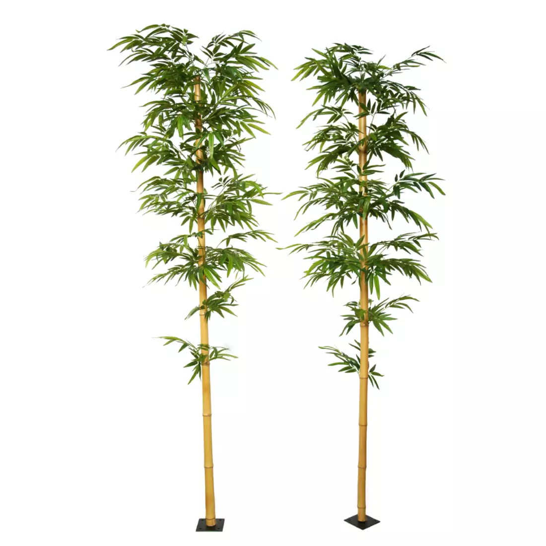 Bamboo-Medium-Single-Tree-280-cm-Green-1074012