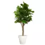 Rostlina Ficus Lyrata Wild Florence Ø 110 h 280 cm Green 1100015