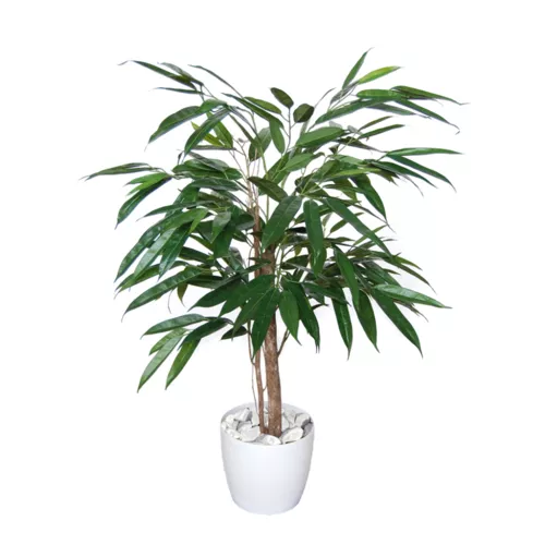 Longifolia Elfie 100 cm Green 1058003
