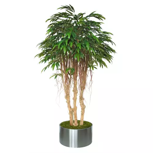 Longifolia Mini 3D Tree 220 CM Green 1089029