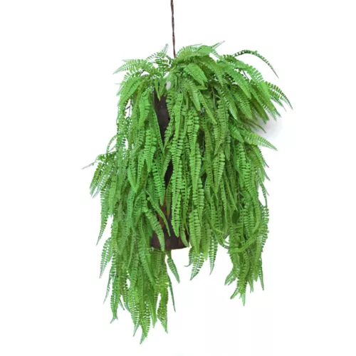 Hanging Fern Fabulosa 80 cm Green 5577000